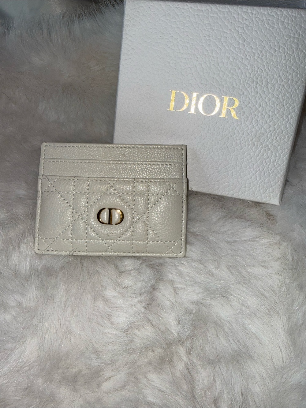Dior Caro Freesia Card Holder